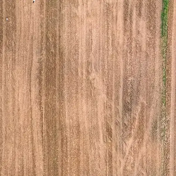 A Practical Framework for Using Fall Weed Maps to Make Better Spray Decisions