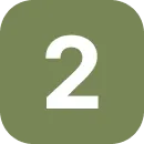 2.webp