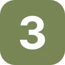 3.webp