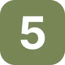 5.webp