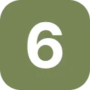 6.webp