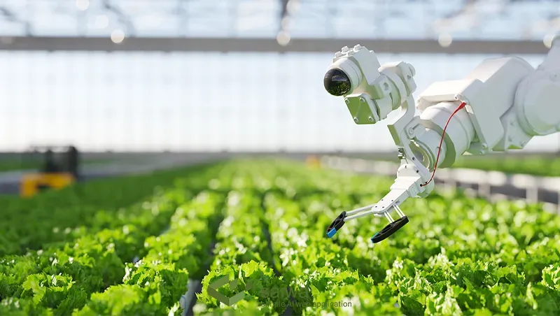 How does Automated Farming work?