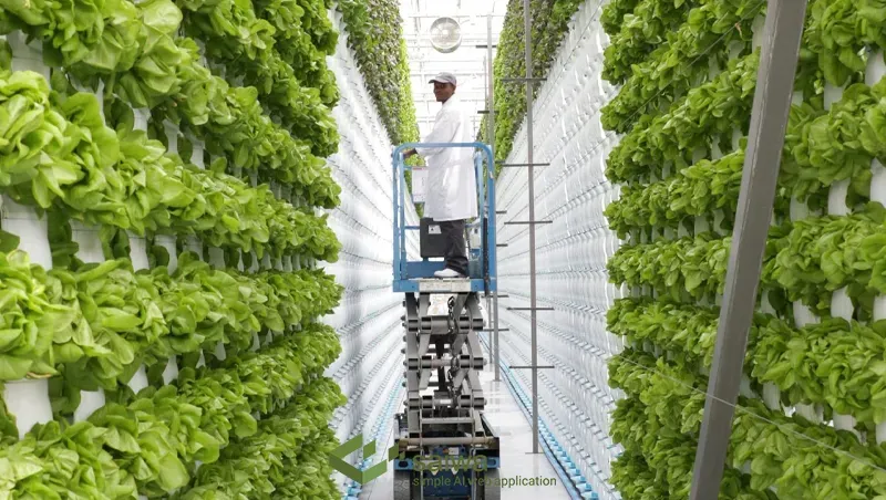 Vertical farming