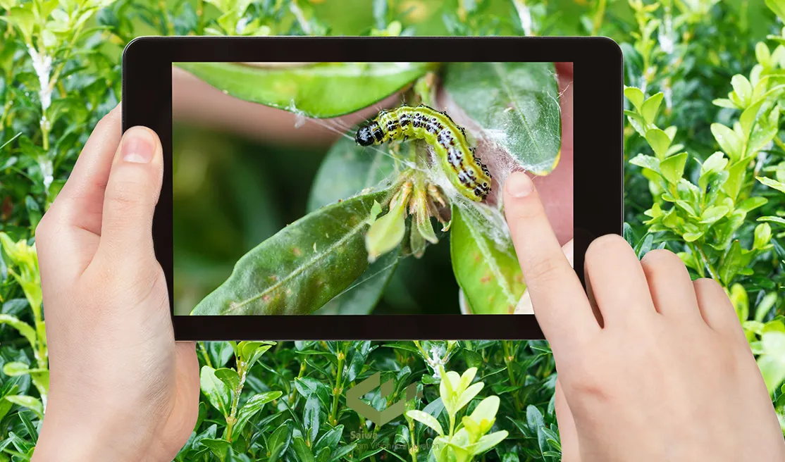 Computer vision in agriculture