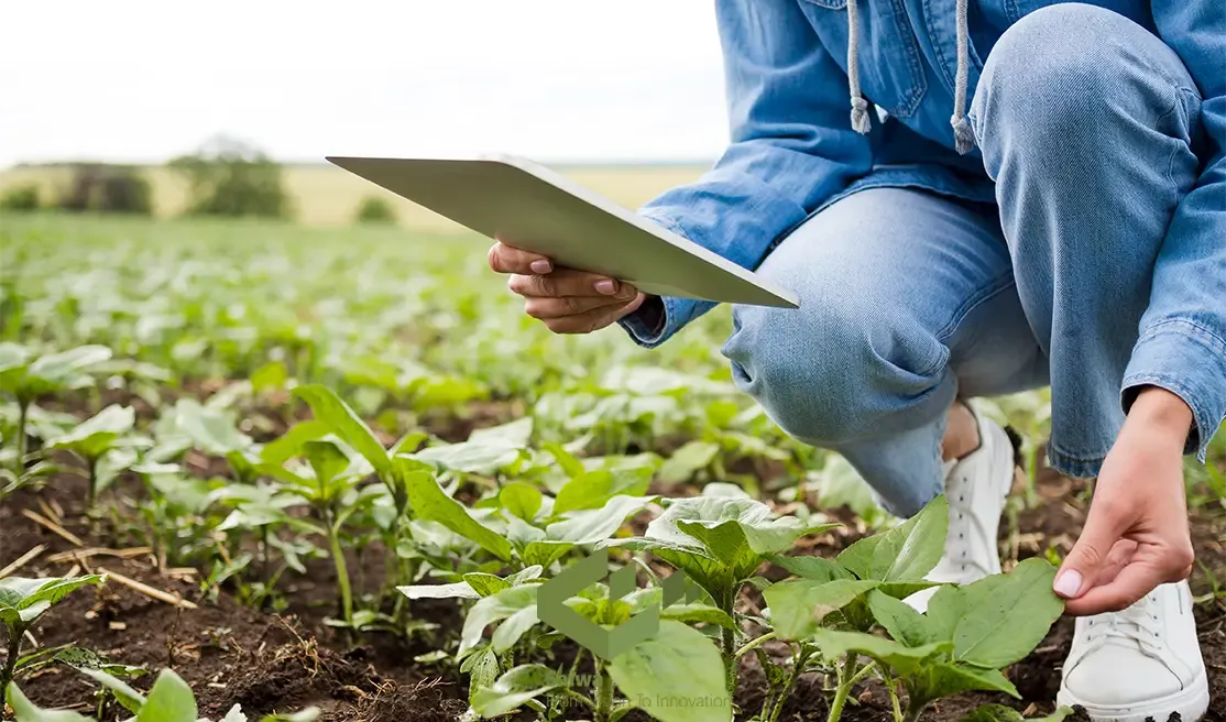 Crop Monitoring in Modern Agriculture.webp