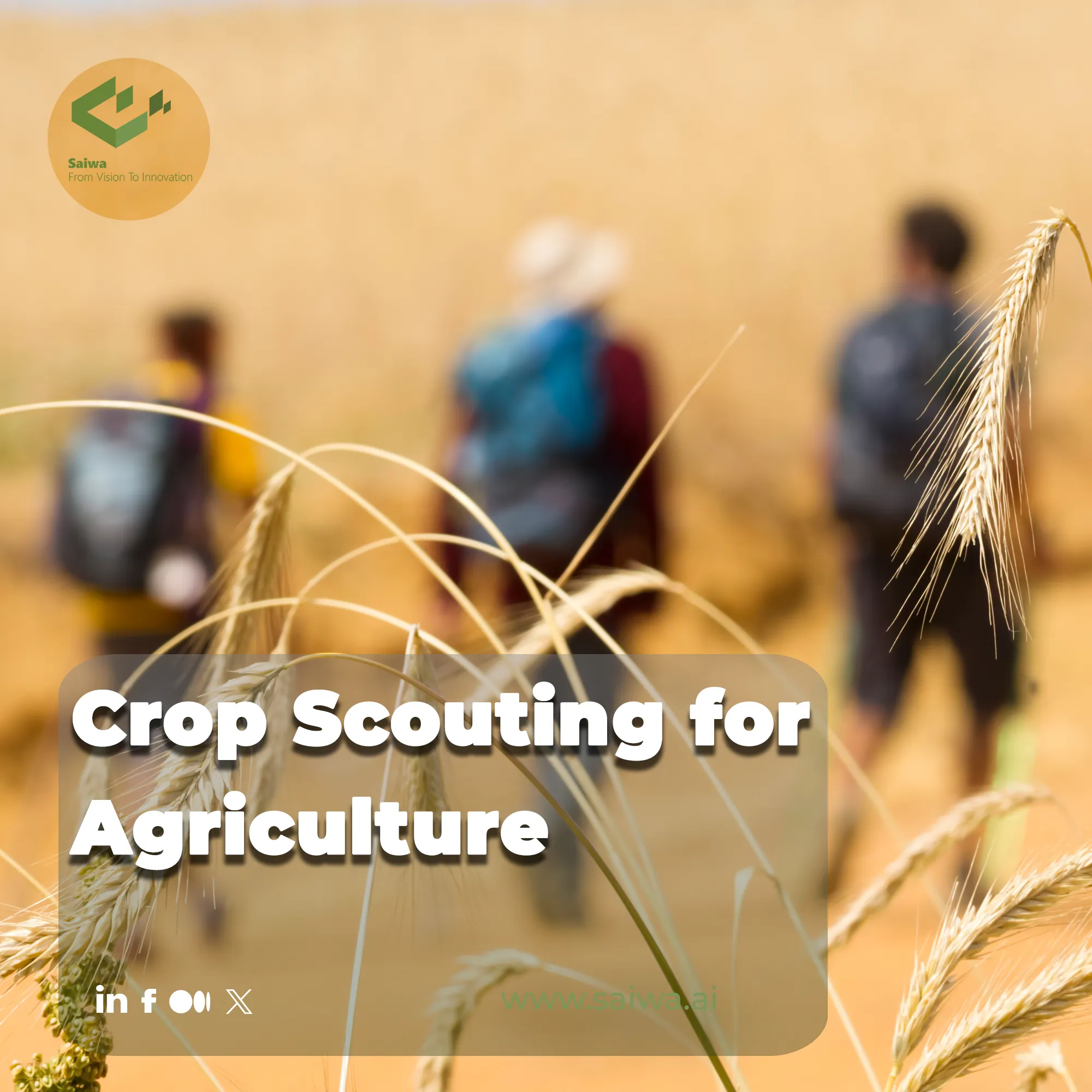Crop Scouting for Agriculture: A Smarter Way to Optimize Farm Performance