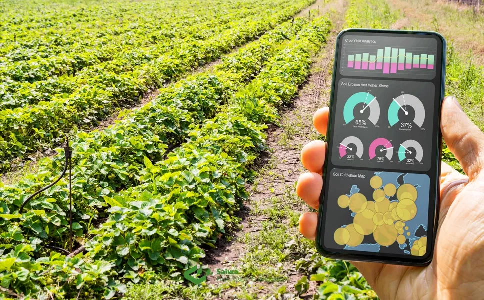Crop Yield Predictions.webp