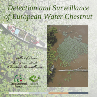 Advancing UAV-based EWC surveillance