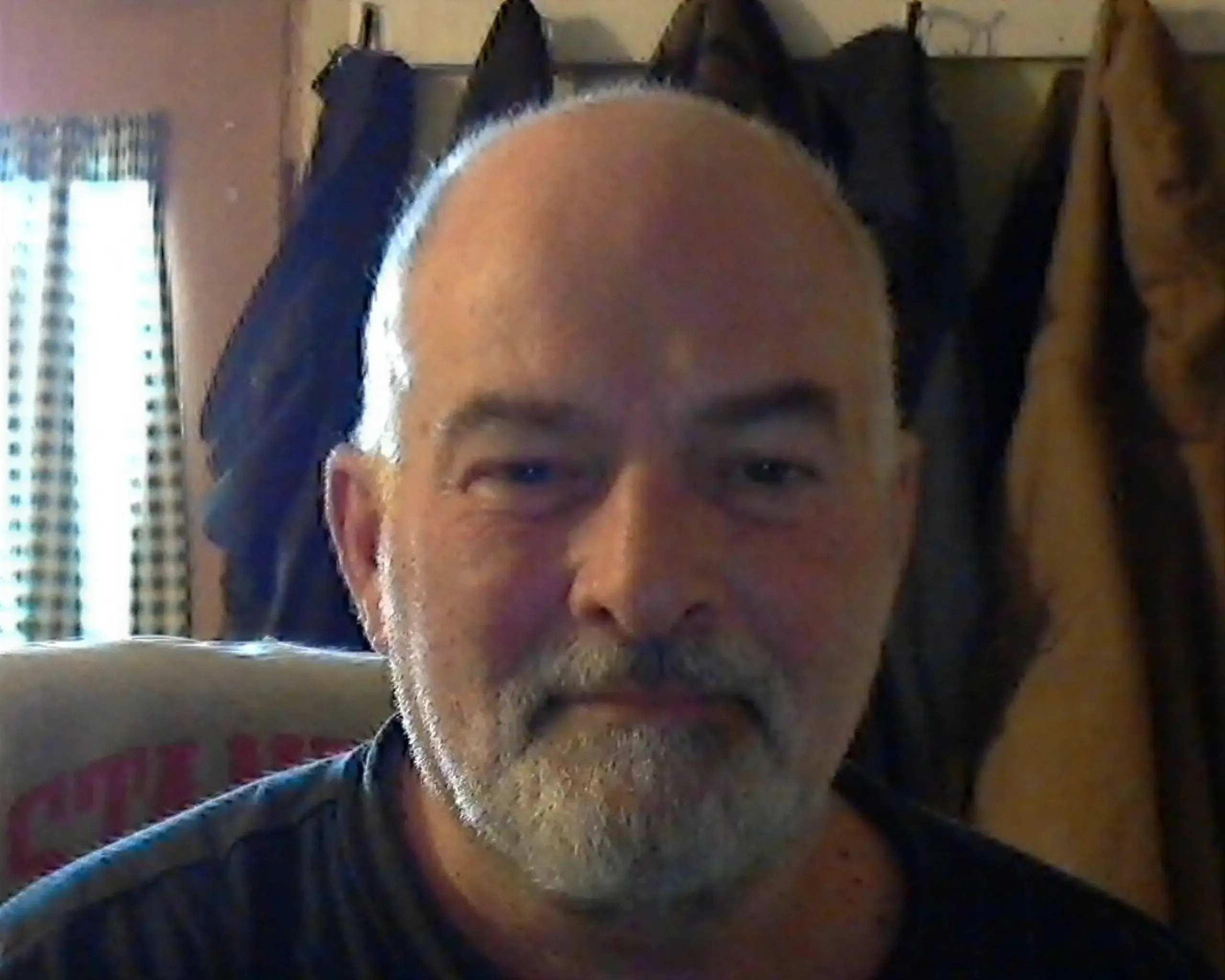 David Irwin