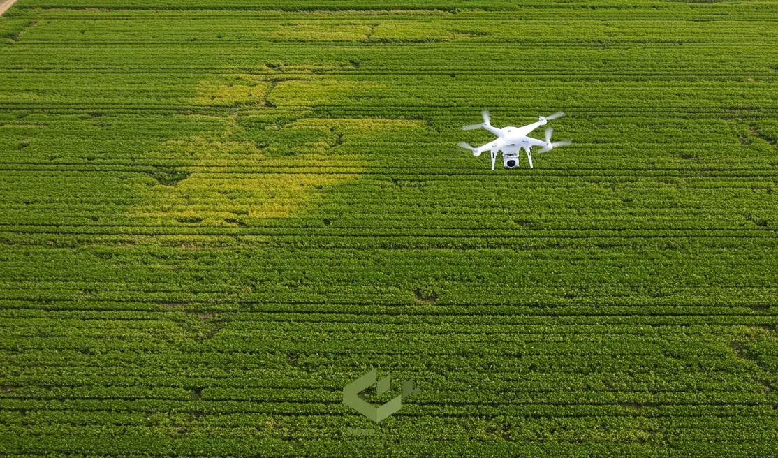 Drone Scouting of the field 