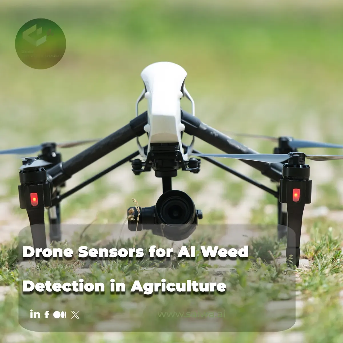 Drone Sensors for AI Weed Detection in Agriculture