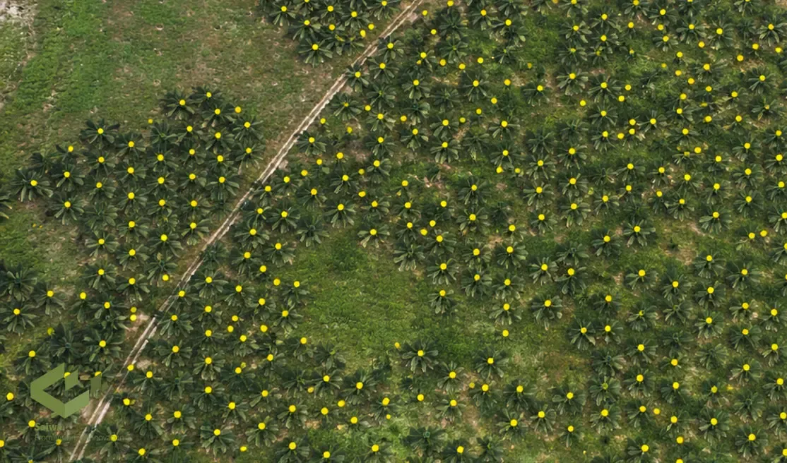 Drone-and-Aerial-Imagery-Based-Counting.webp
