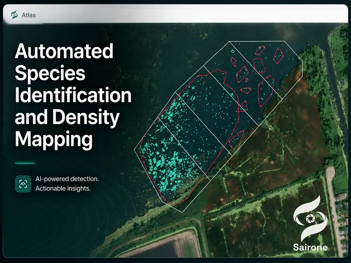 Edge AI for Real-Time Invasive Species Detection on UAVs-2.webp