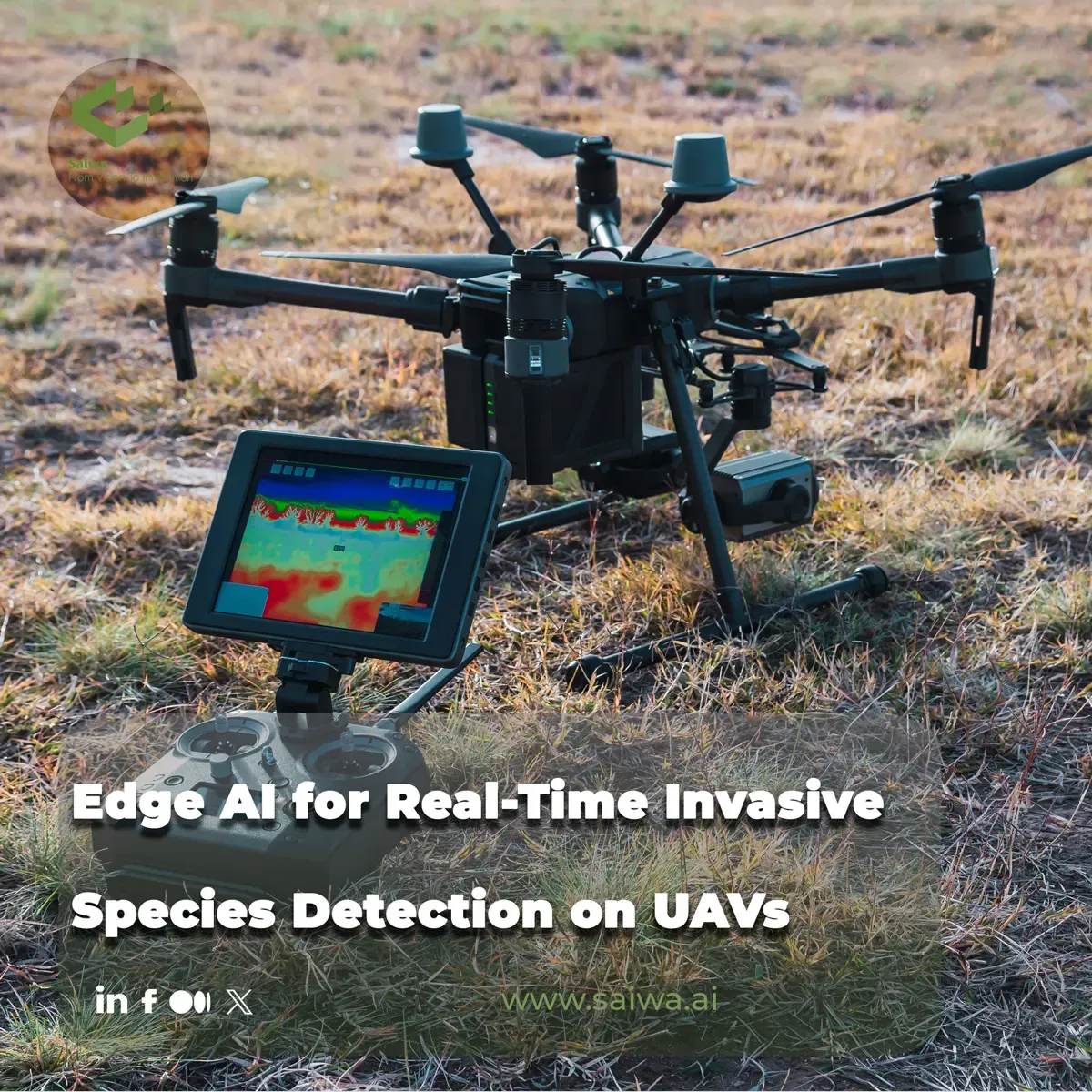 Edge AI for Real-Time Invasive Species Detection on UAVs