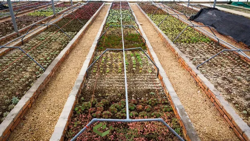 Ensuring Quality in Storage and Warehousing.jpg