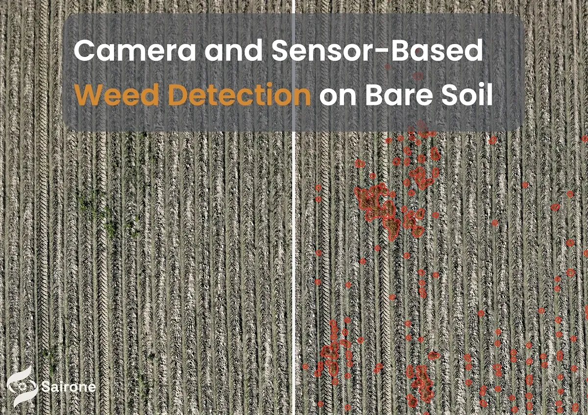 Evaluating the ROI of Green-on-Brown Spot Spraying.webp