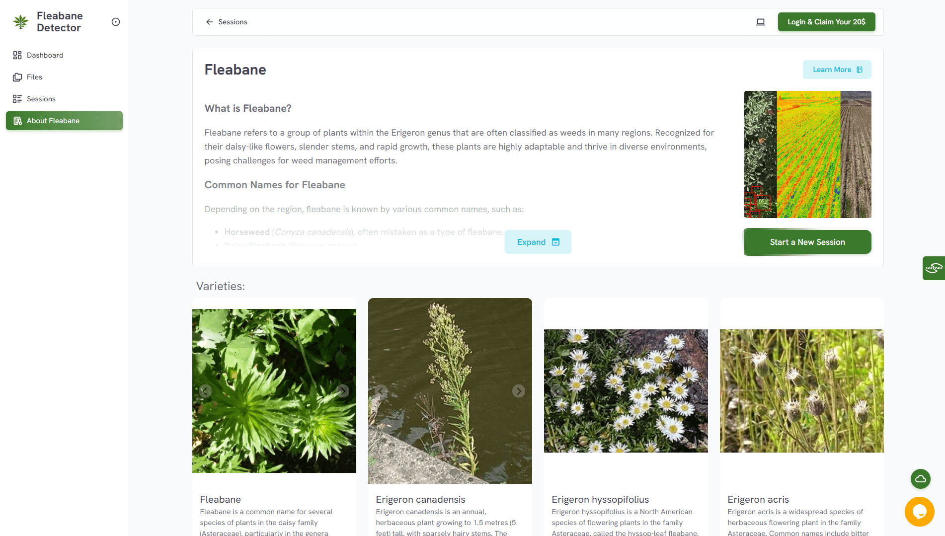 Fleabane Detector.png