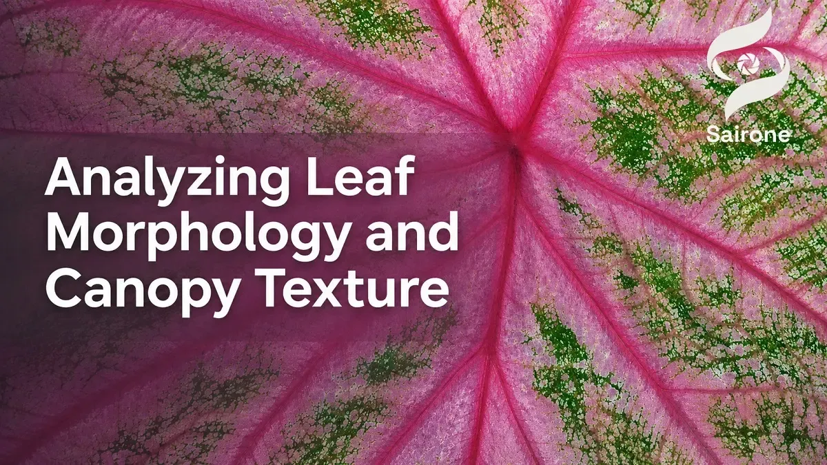 Analyzing Leaf Morphology and Canopy Texture