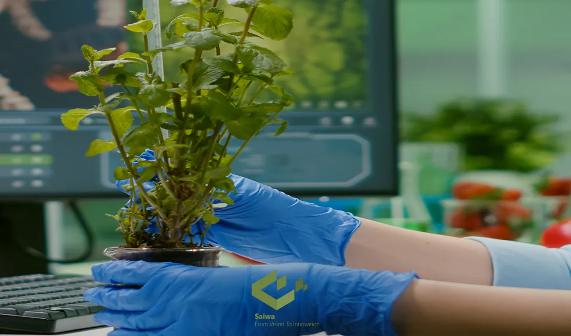 Invasive plant solutions