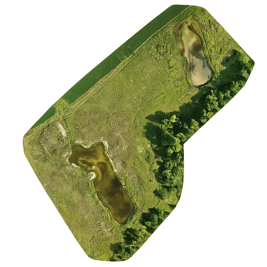Orthomosaic Generation for Weed Distribution Analysis