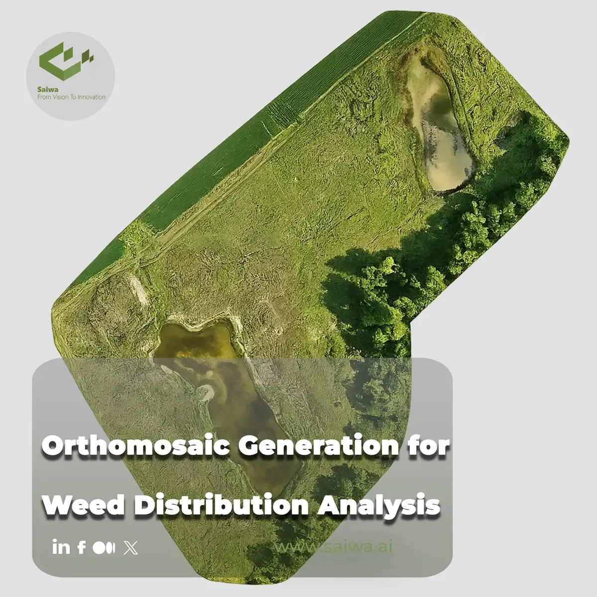 Orthomosaic Generation for Weed Distribution Analysis