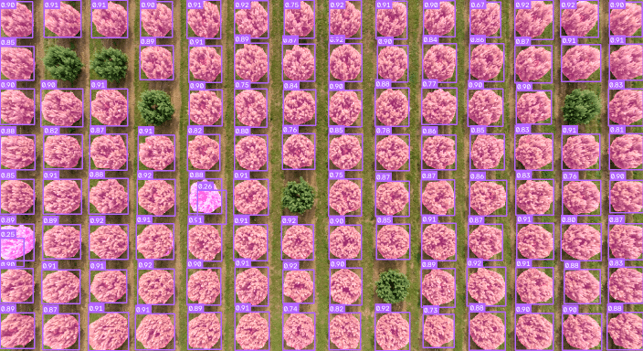 Picture2.png