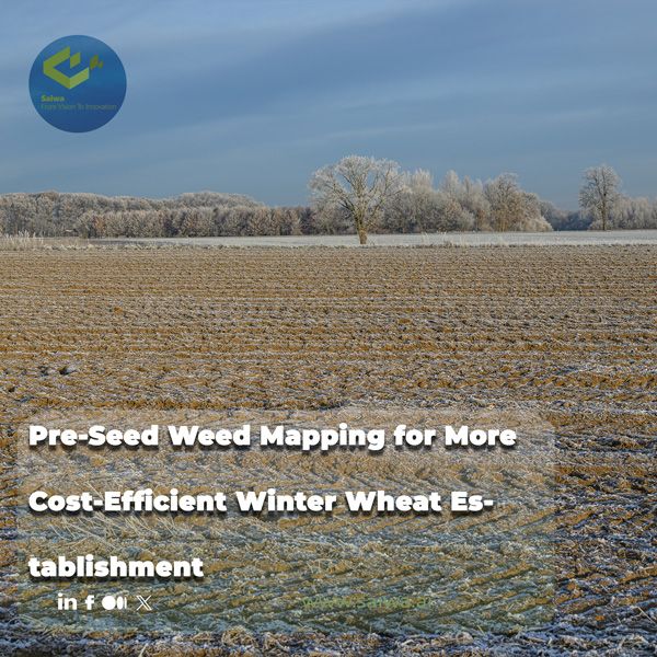 Pre-Seed Weed Mapping for More Cost-Efficient Winter Wheat Establishment
