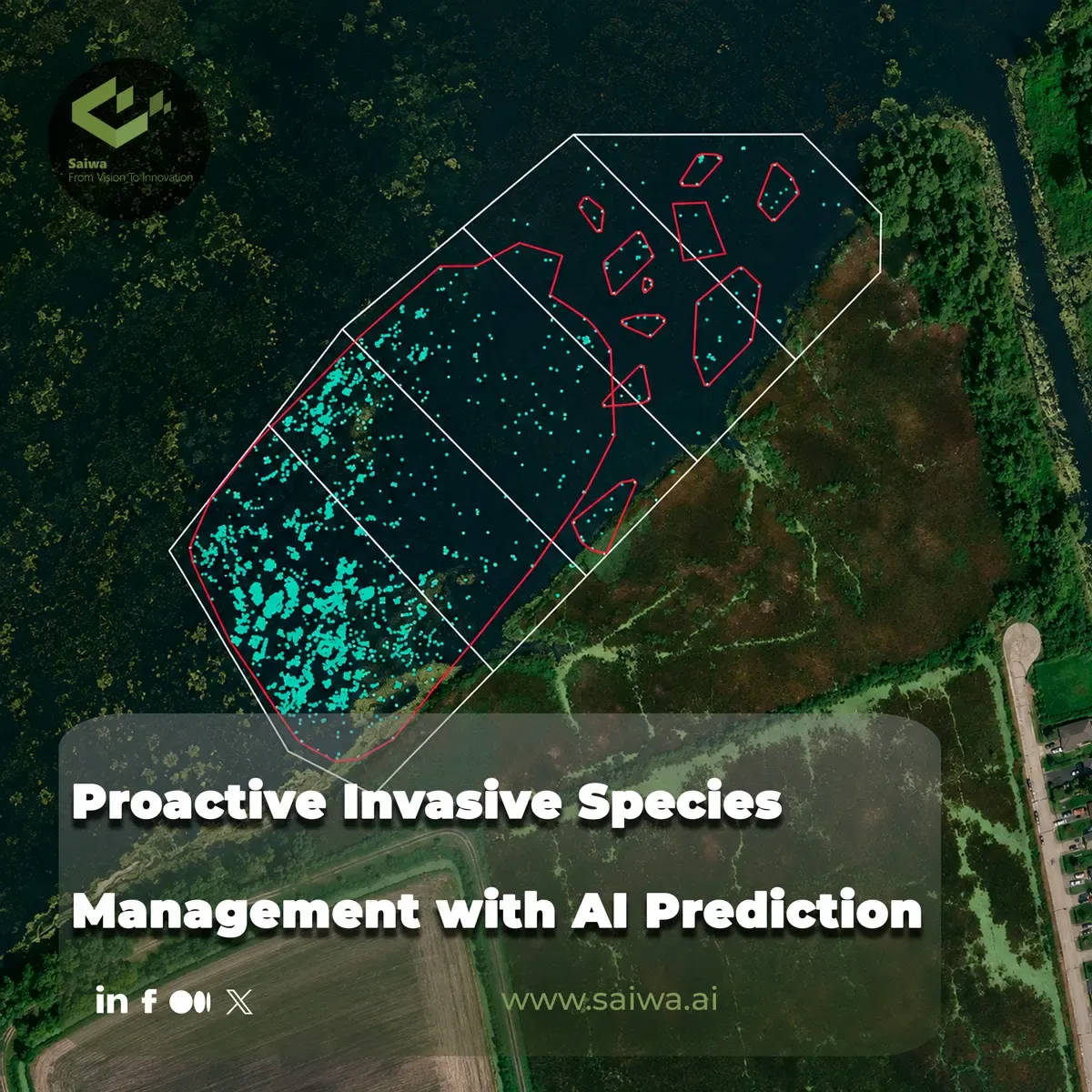 Proactive Invasive Species Management with AI Prediction