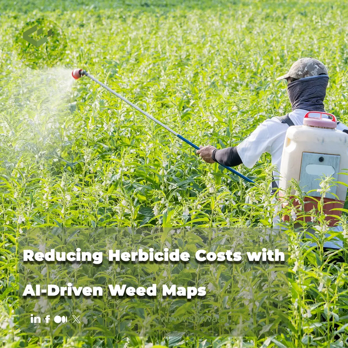 Reducing Herbicide Costs with AI-Driven Weed Maps