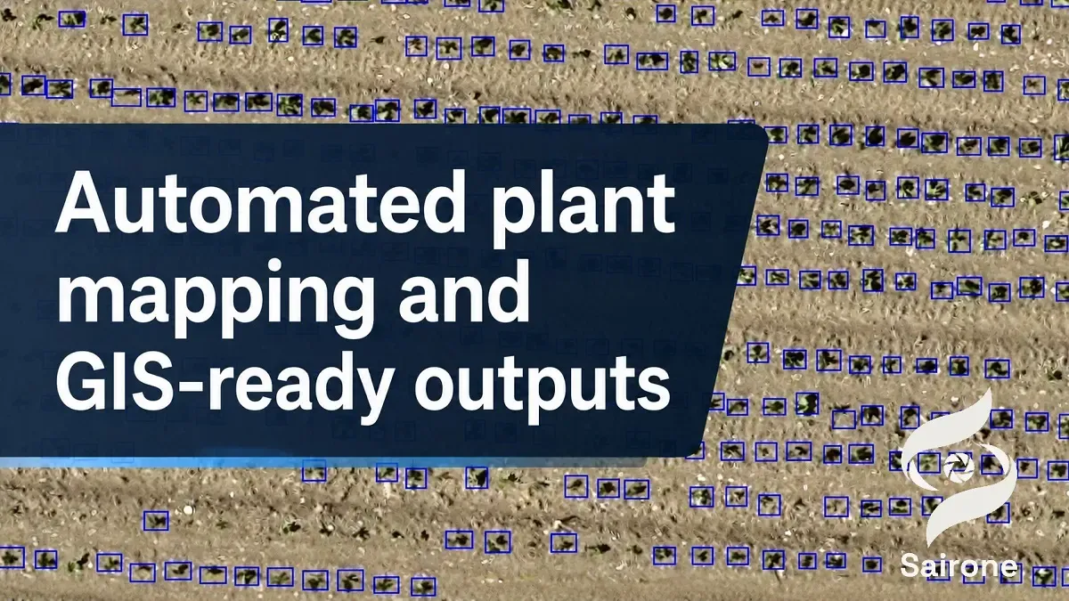 Automated Plant and Invasive Species Mapping