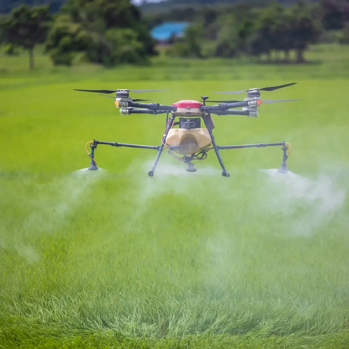 Spot Spraying vs. Blanket Spraying: Cost & Efficiency Comparison