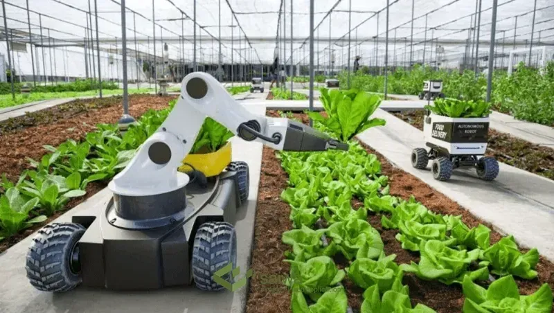 Supply Chain Transportation and Storage.jpg