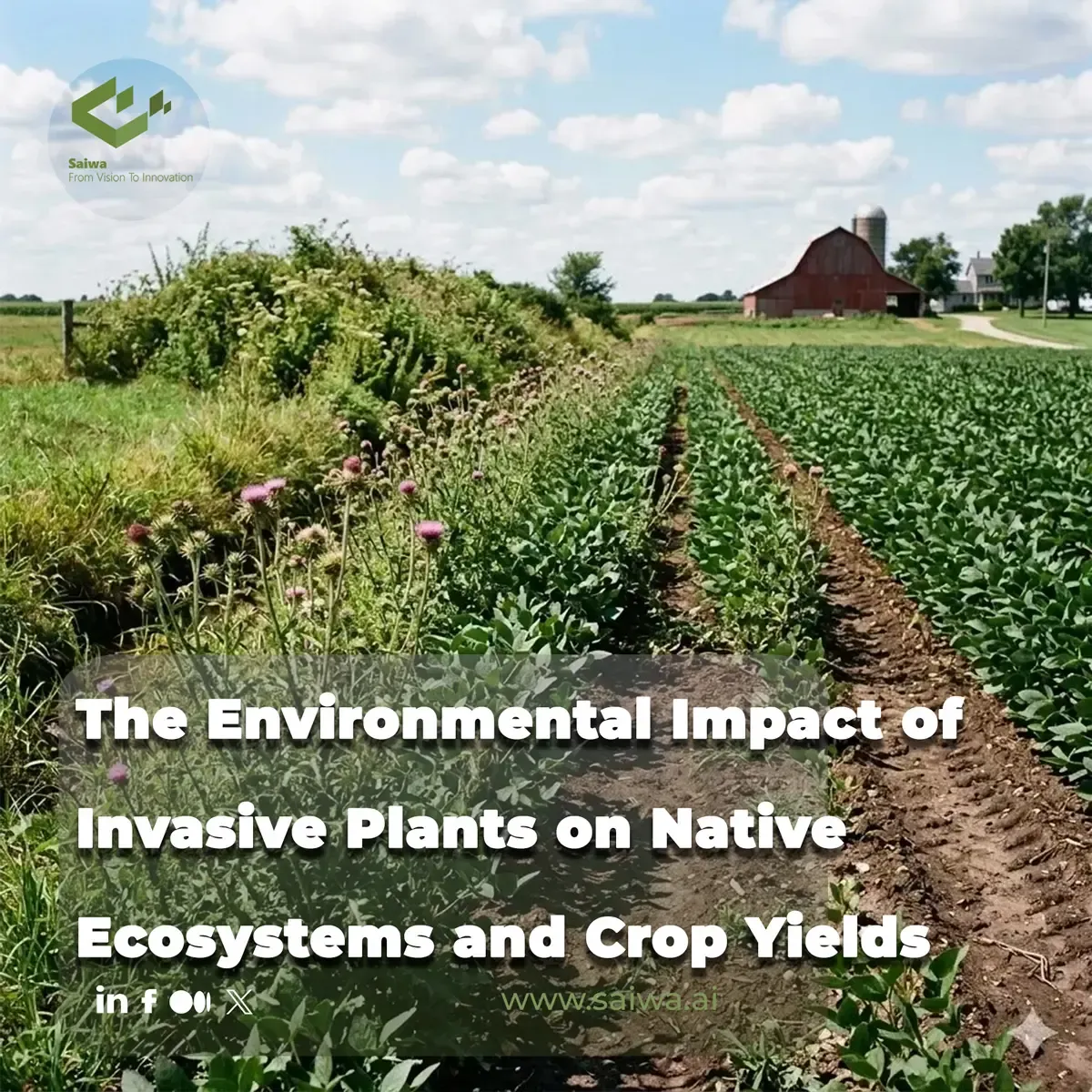 The Environmental Impact of Invasive Plants on Native Ecosystems and Crop Yields