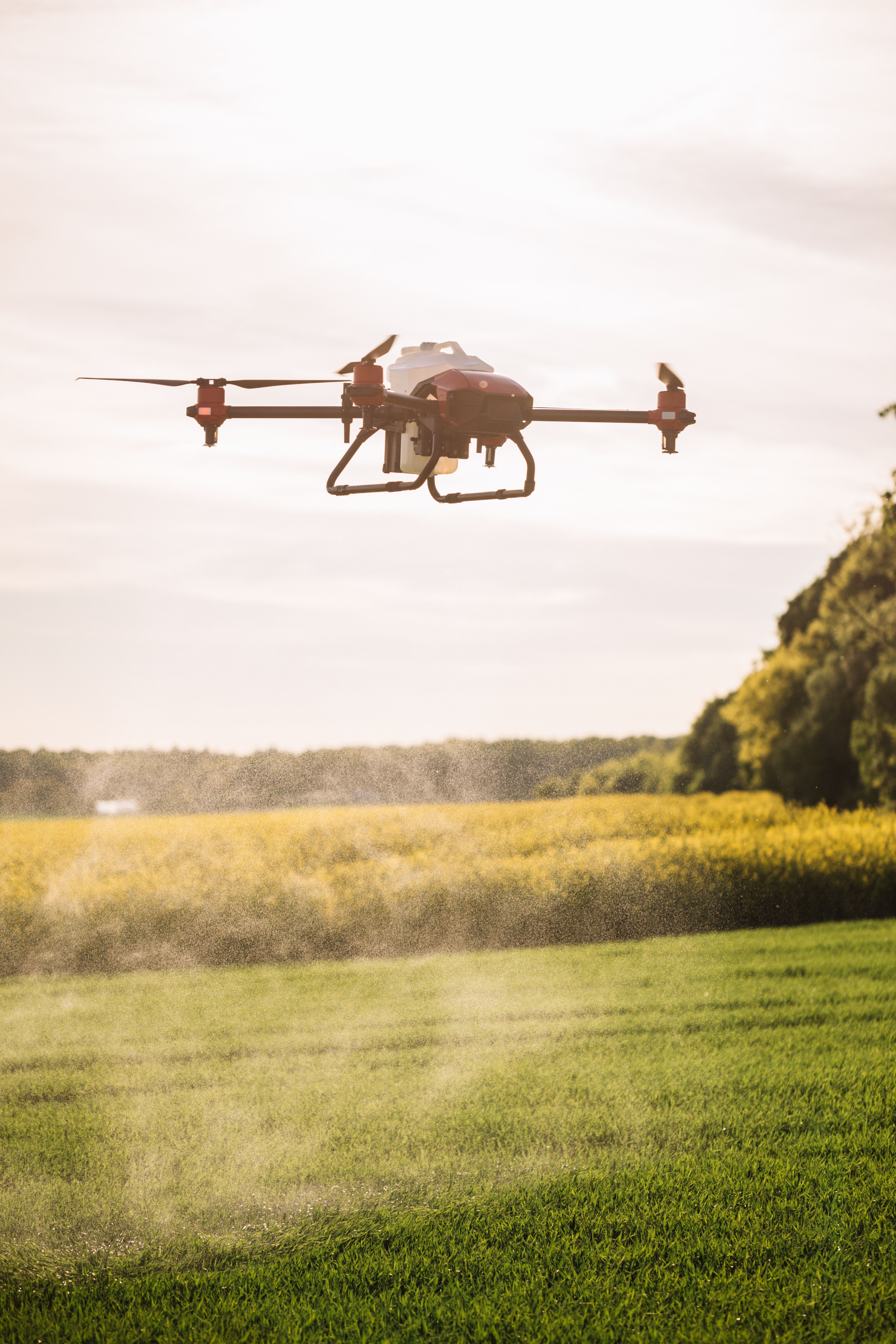 Weed and Invasive Plant Control