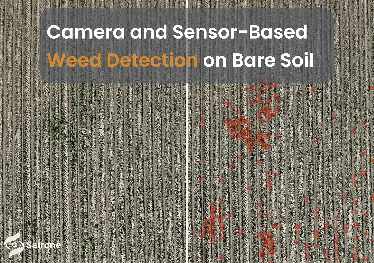When Delaying Post-Harvest Weed Control Costs.webp