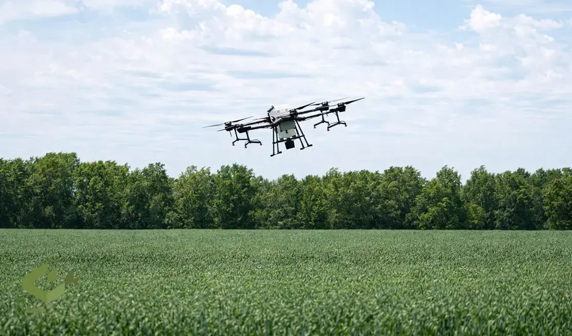 crop-pest-detection-ai (1).webp