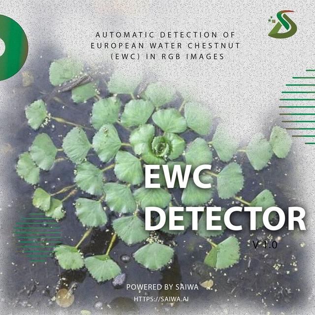 Detection and Surveillance of European Water Chestnut