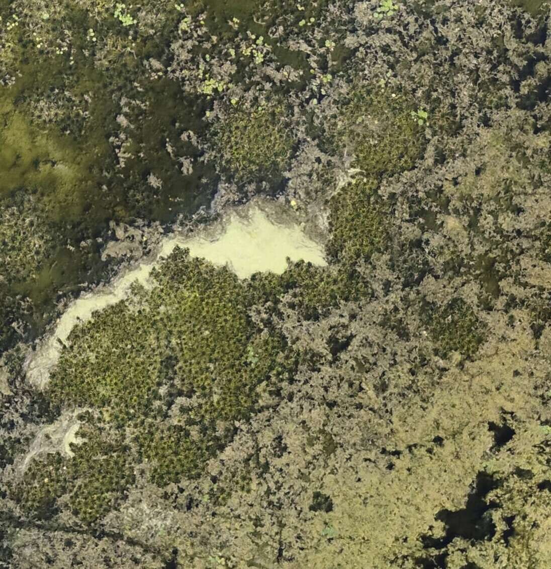 Detect Water Soldier RGB Drone Monitoring And Tracking