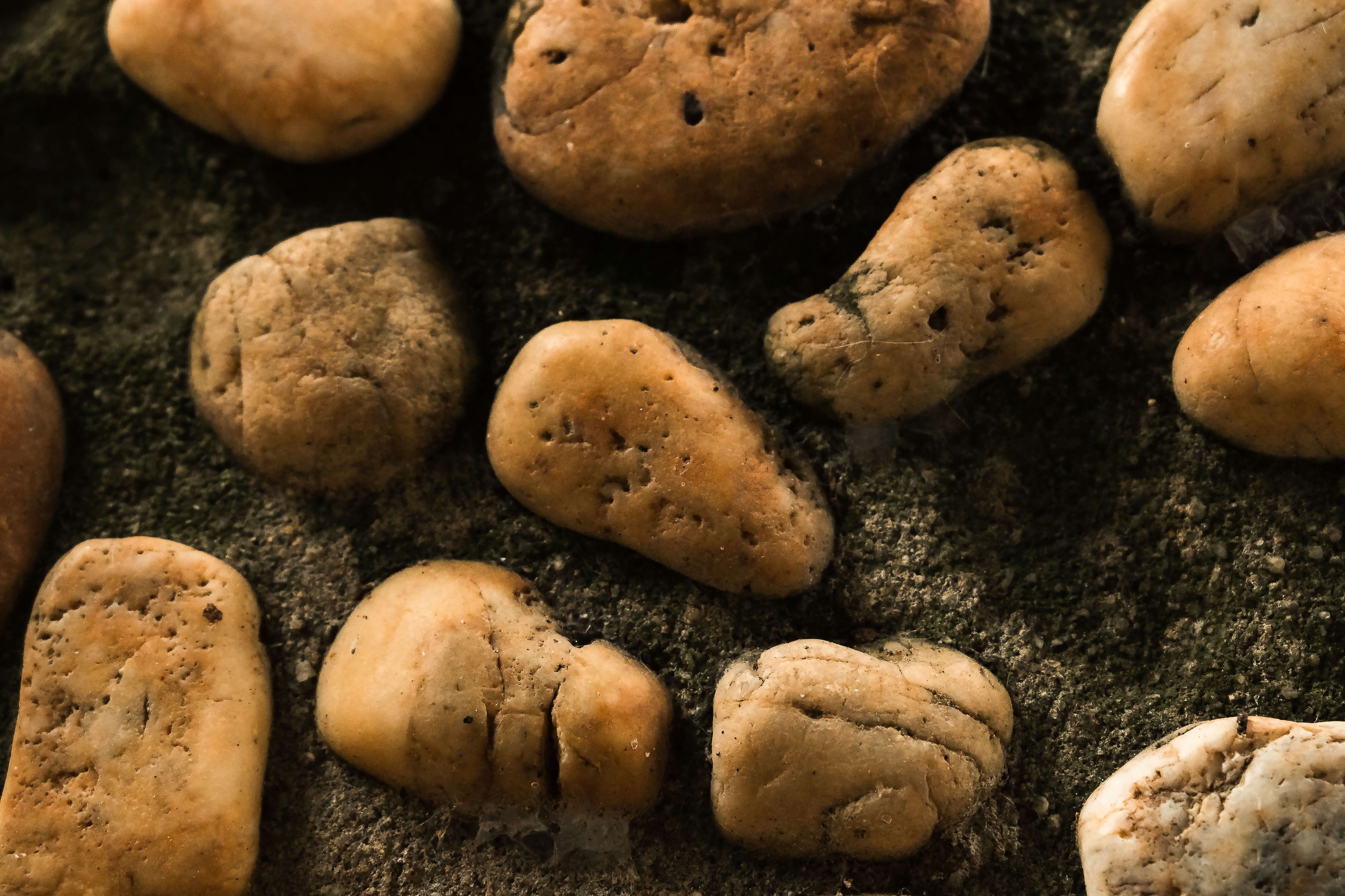 high-angle-view-stones.jpg