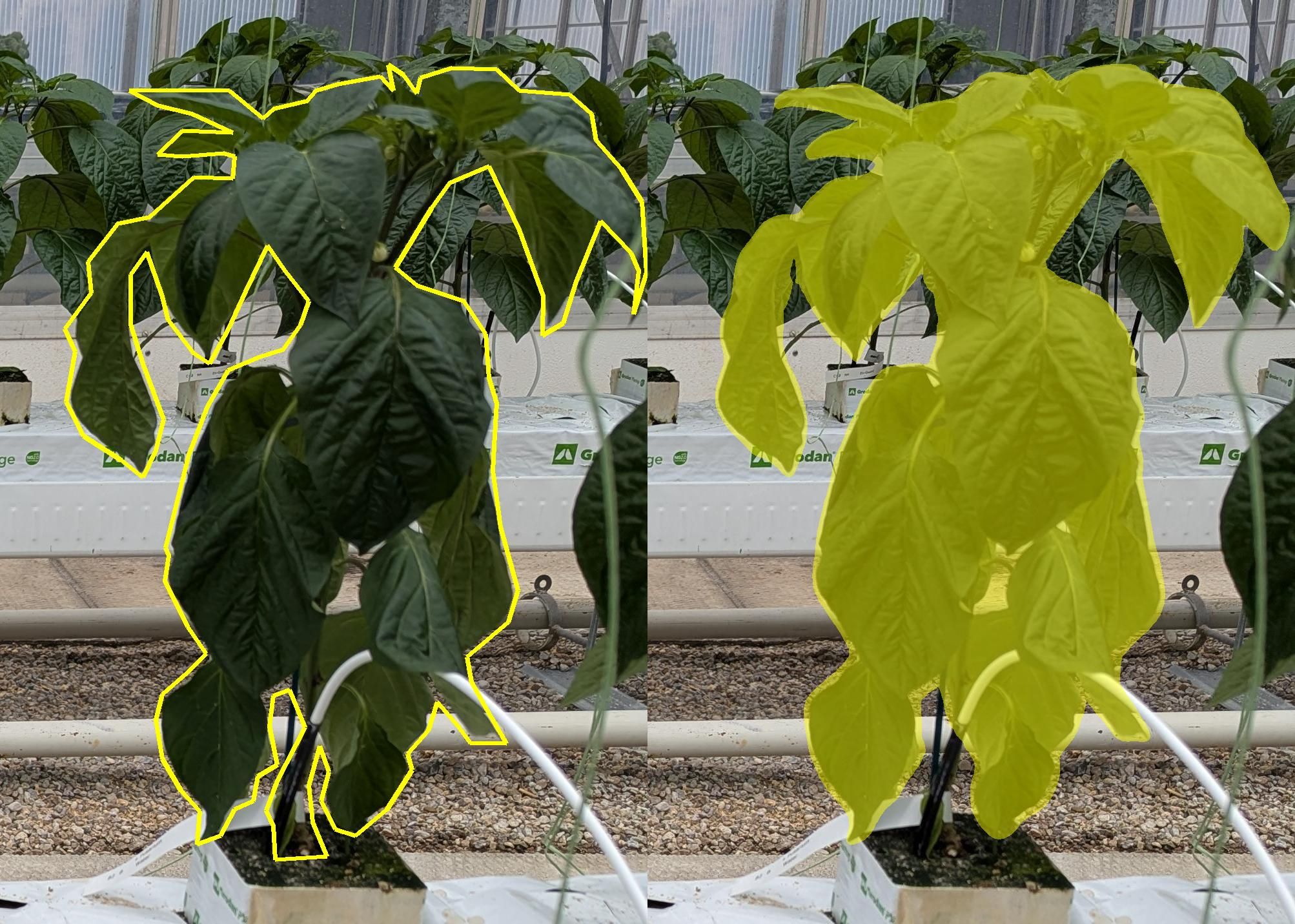 Evolution of the Object Detection Pipeline 5.jpeg