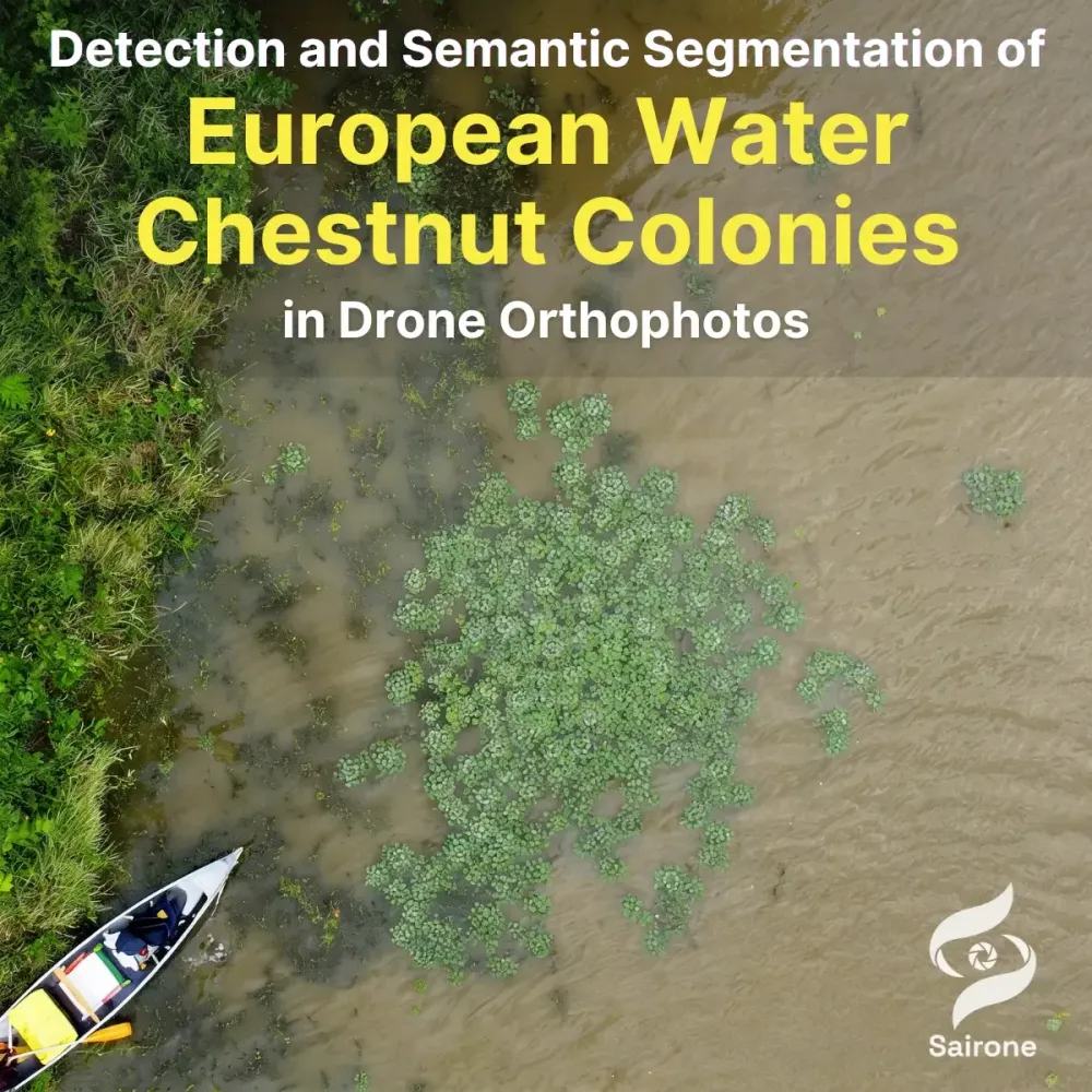 Detection and Semantic Segmentation of European Water Chestnut Colonies in Drone Orthophotos