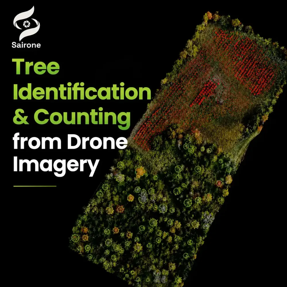 AI-Powered Tree Identification & Counting from Drone Imagery