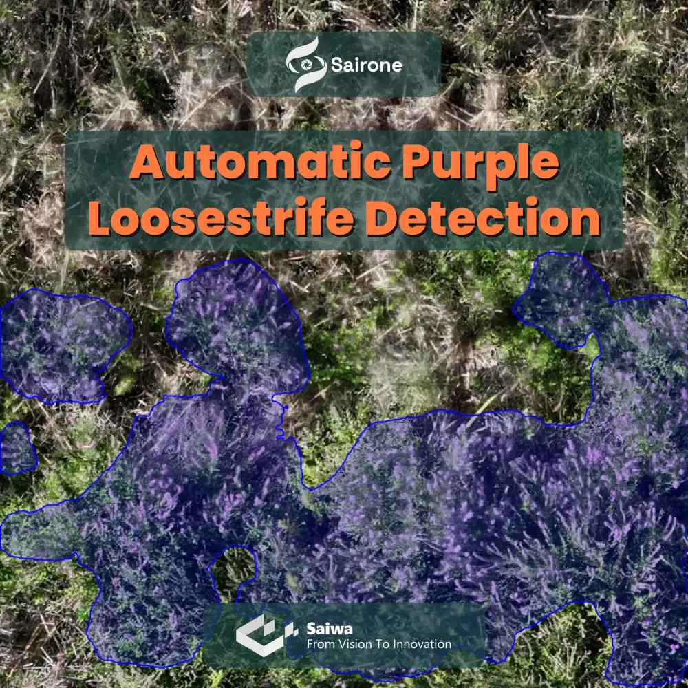 Automatic Purple Loosestrife Detection with AI-Powered Semantic Segmentation