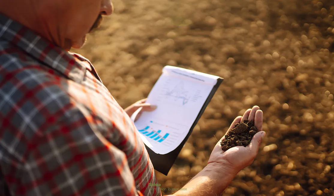 man checking the quality of soil and crops