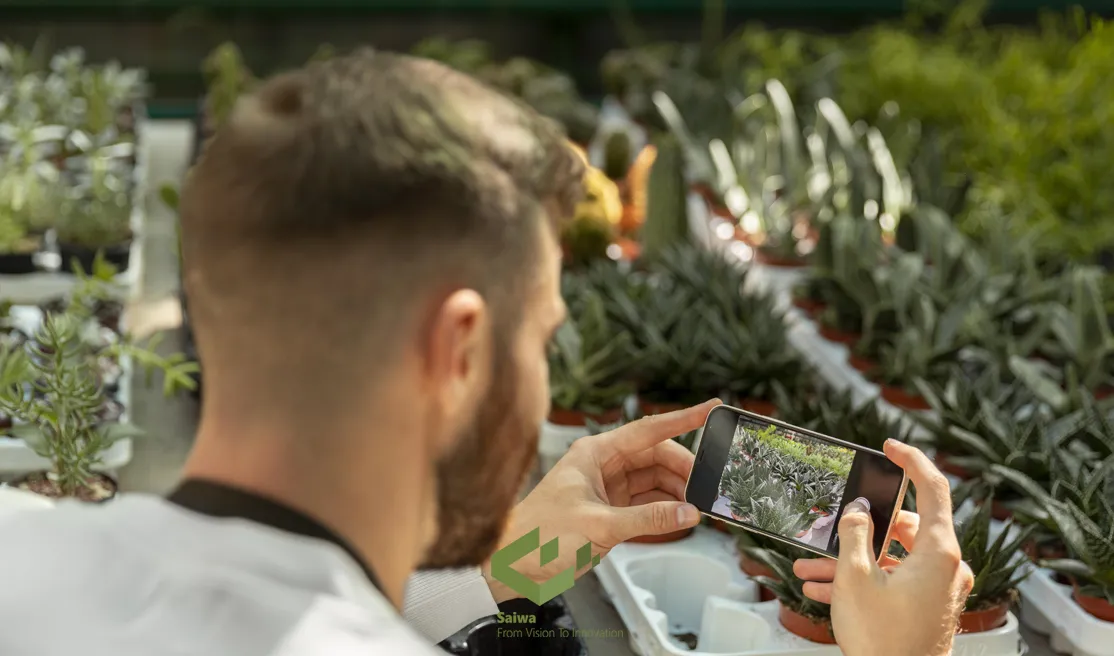 man inspecting plants and monitoring