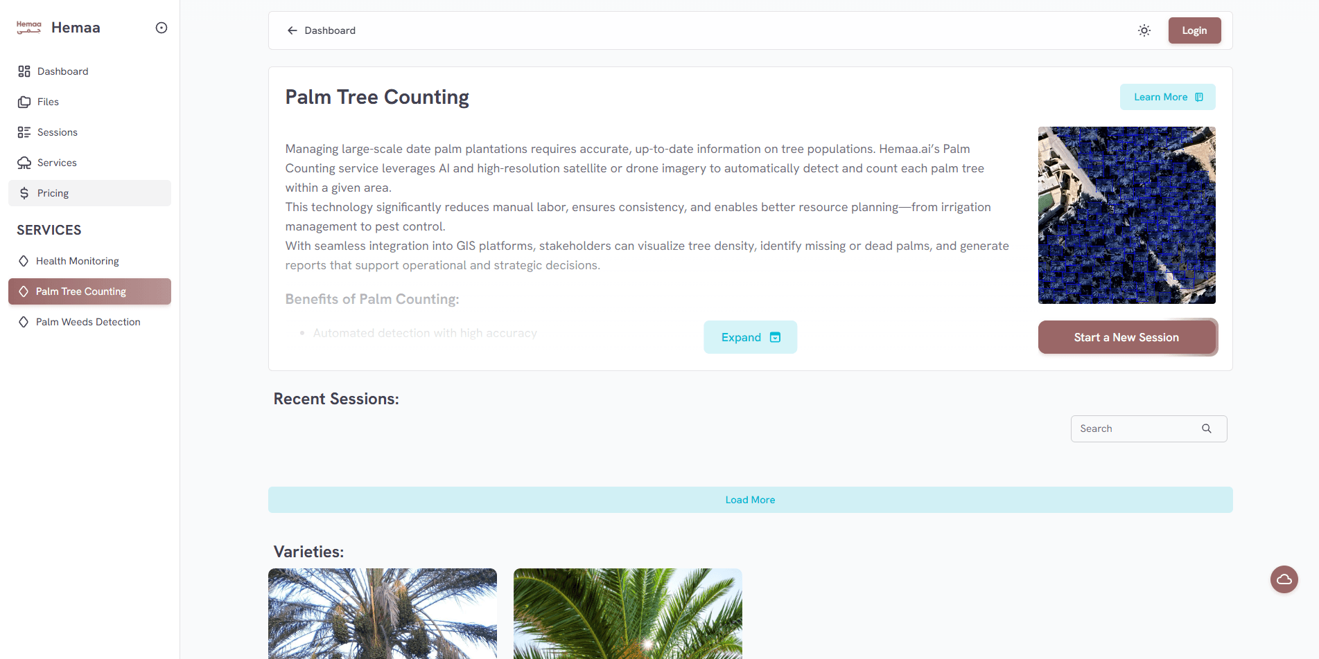 palm-counting.png