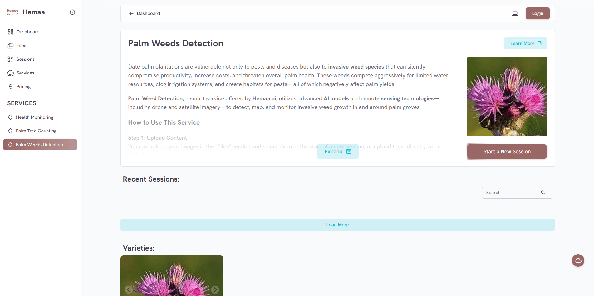 palm-weeds.png
