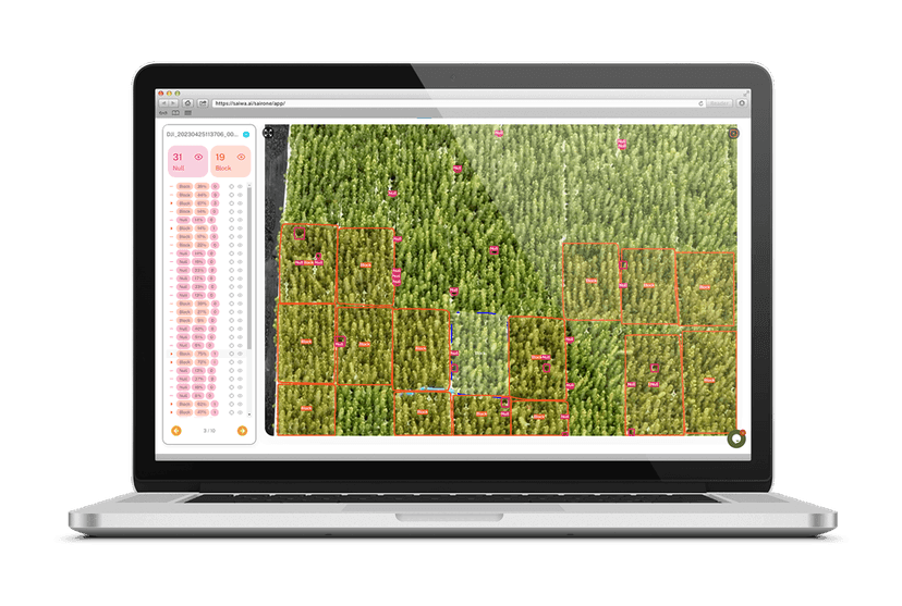 <p style="color:#2f6364;">Sairone</p>