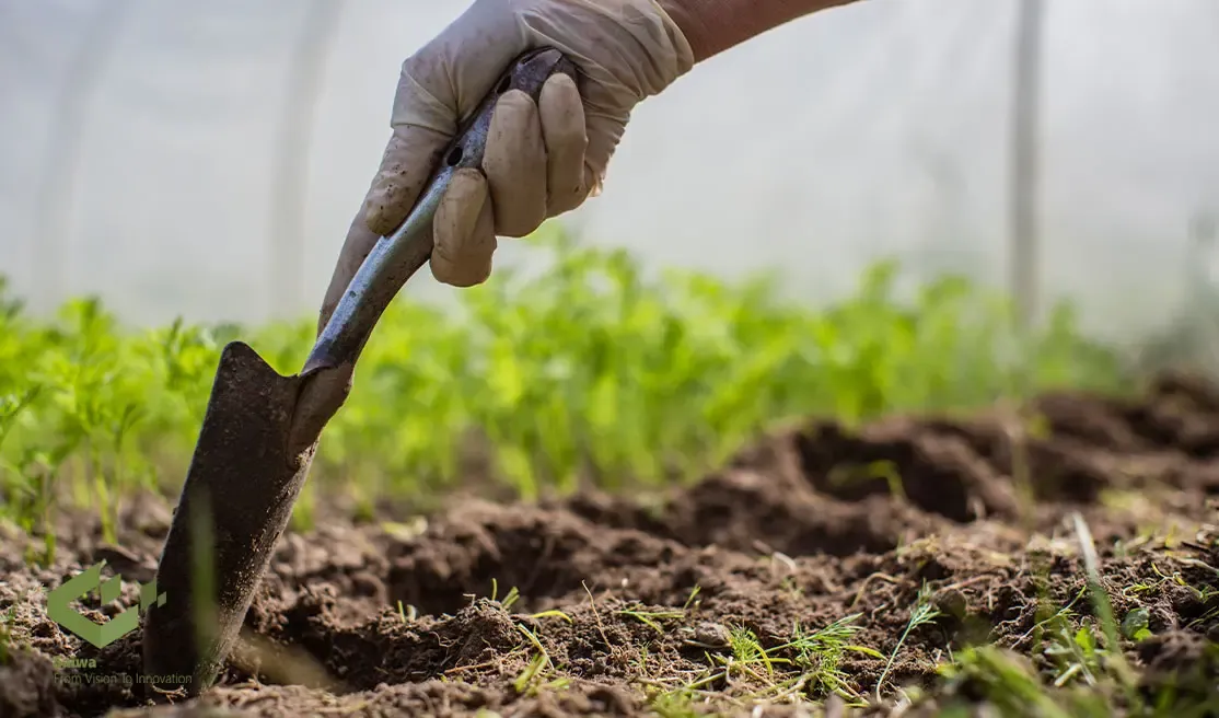 soil-and-leaf-nutrient-monitoring (1).webp