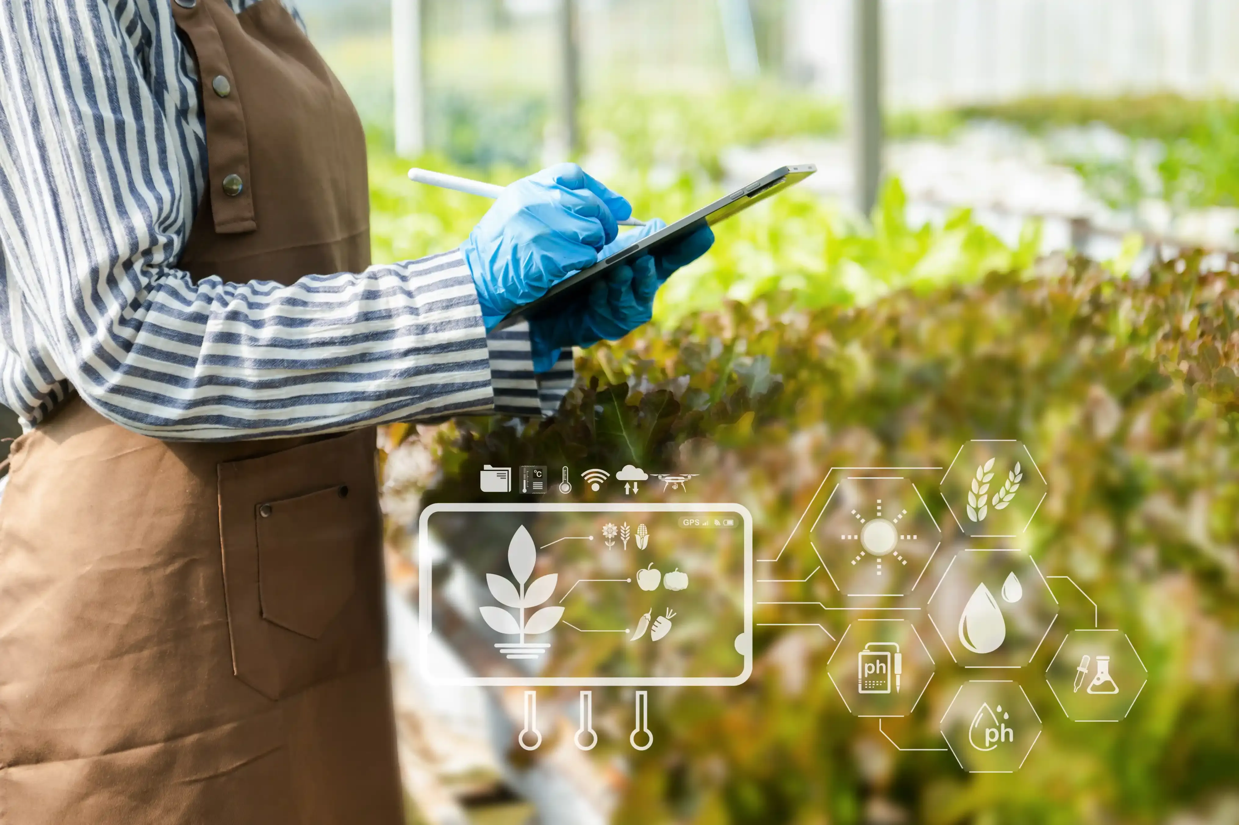 Woman hands gardening lettuce in farm with growth process and chemical formula on green background with vr icon